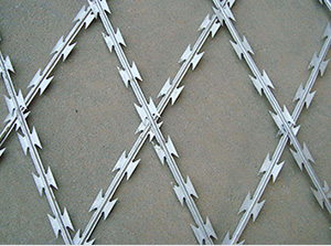 Hot Galvanized Razor Barbed Wire 