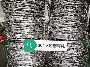 Stainless Steel Barbed Wire 