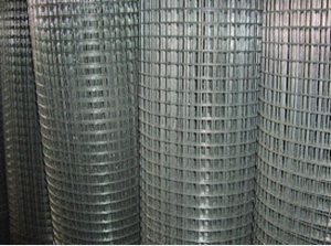 Stainless Welded Wire Mesh